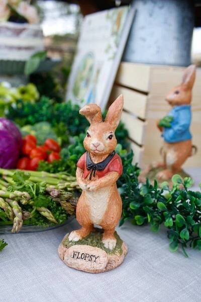 Peter Rabbit Party - Jordan's Easy Entertaining
