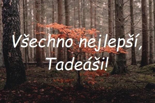 ᐉ 30 nej přání k svátku pro Tadeáše v roce 2025 (ZDARMA)