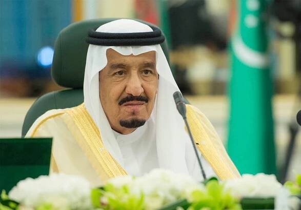 Saudský princ si vzal na palubu letadla 80 sokolů: Všem koupil letenky