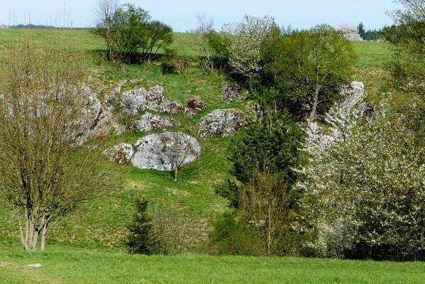 Sedmero krkavců létalo nad Rudicí. Malebná krajina si zahrála v pohádce
