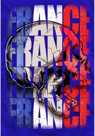 France Skull Flag