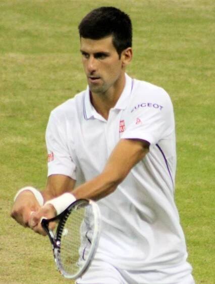 Soubor:Djokovic WM14 (25) (14641439744).jpg – Wikipedie