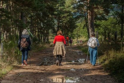Akce Česky pěšky nabídne turistům 12 pochodů po republice