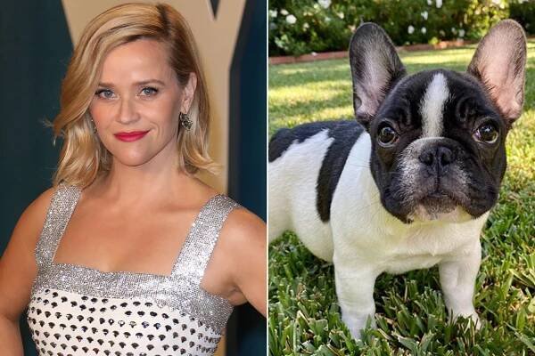 Resse Witherspoon and her new pup Minnie Pearl