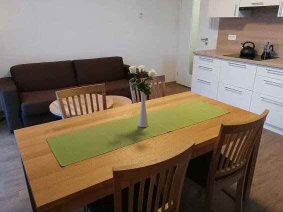 Apartmán Praděd v Říčkách, pronájem apartmánu Říčky v Orlických horách - ubytování Orlické hory, 11185