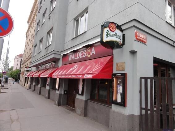 Restaurace Waldesga - Praha Vršovice | Katalpa