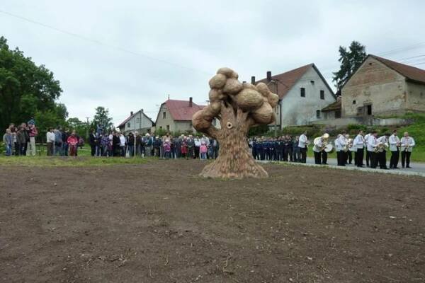 Jak roste betonový strom? Práce trvala měsíc, video ji ukáže za pár minut