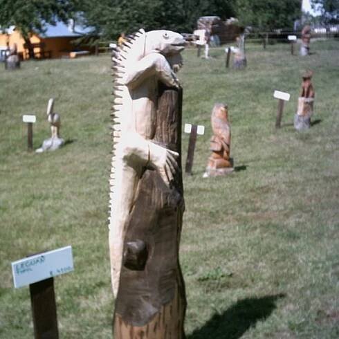 Galerie – První dřevěná ZOO – RH areál Ostrata