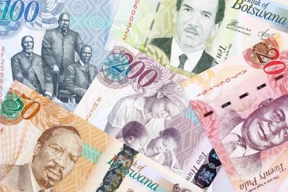 Botswana currency | Notes and coins, FX rate [2023]