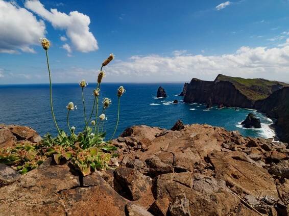 Madeira, ostrov věčného jara