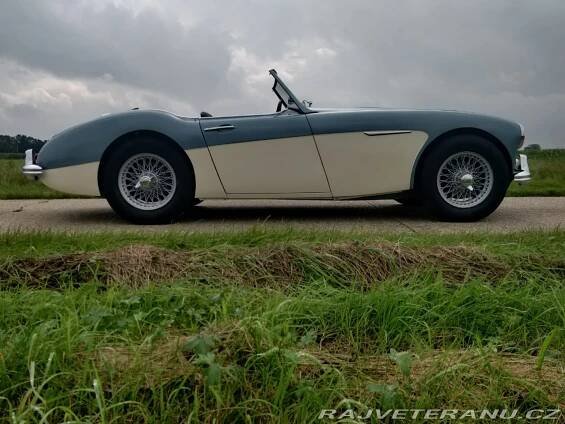 Austin Healey 3000 MK II