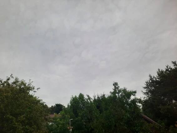 Olešná