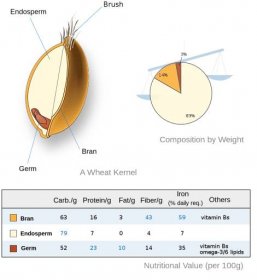 File:Wheat-kernel nutrition.svg - Wikimedia Commons