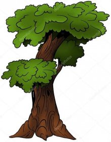 Branchy strom Stock Vector od © dero2010 2969371