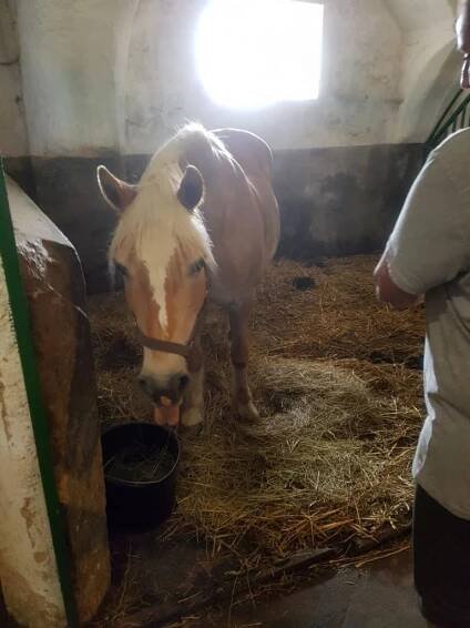 Farma Hedecko Koťátka - Oficiální stránky ZŠ a MŠ Doksy