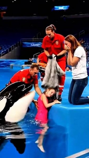Orca Save A Girl Short Film #orca #jessica #whale #trending #shark #trend #shorts