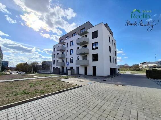 Pronájem Byt 2+kk, Javornická, Rychnov nad Kněžnou