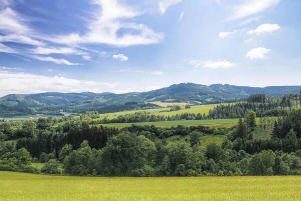Fotogalerie | Prženské paseky