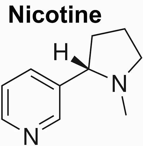 Nicotine, mechanism of action, uses, side effects, toxicity and