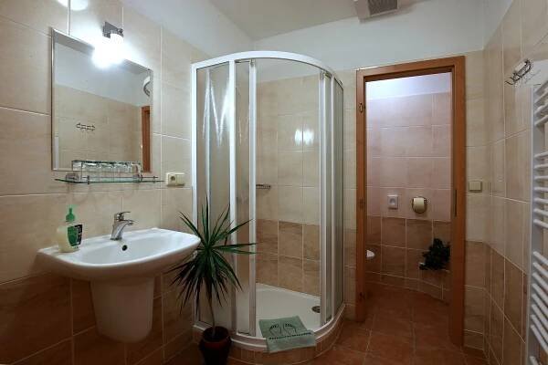 ctyrluzkovy-mezonetovy-apartman-1-patro-06