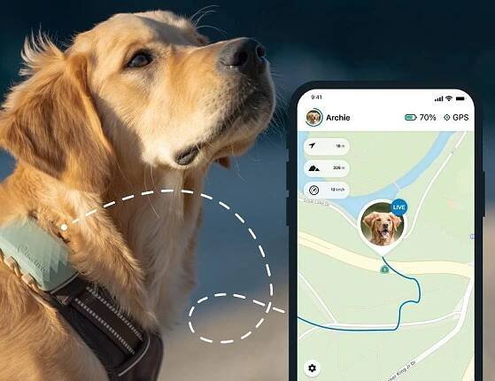 GPS lokátor Tractive DOG XL, zelený