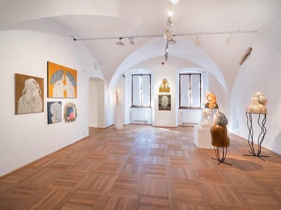 Dana Bartoníčková a Martin Žák: WAXED | Výstavy | GOČÁROVA GALERIE