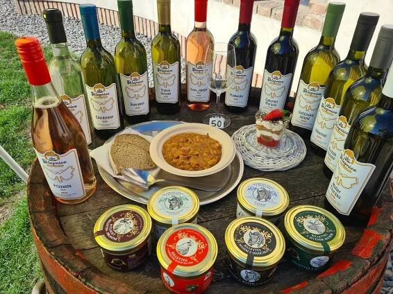 Řízené degustace - Vinný sklep Sklepnice, Klentnice, Vinařství Sklepnice