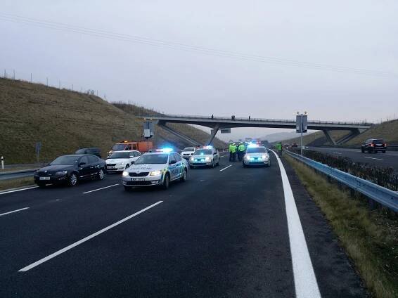 Na dálnici D5 se ráno střetl osobní vůz s koněm. Řidič ani zvíře srážku nepřežili