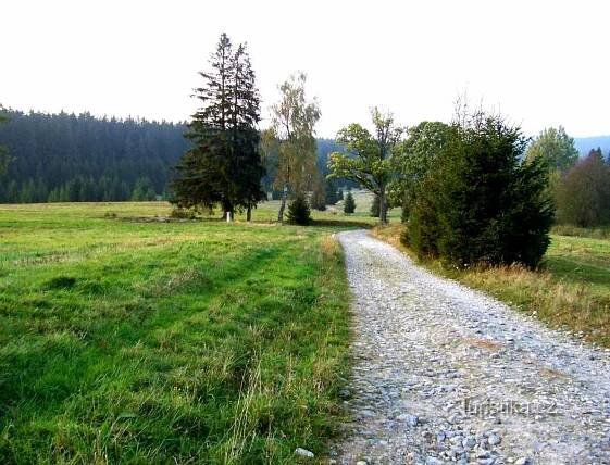 Vzhůru ke Kamenci a nejvyšší hoře Novohradských hor