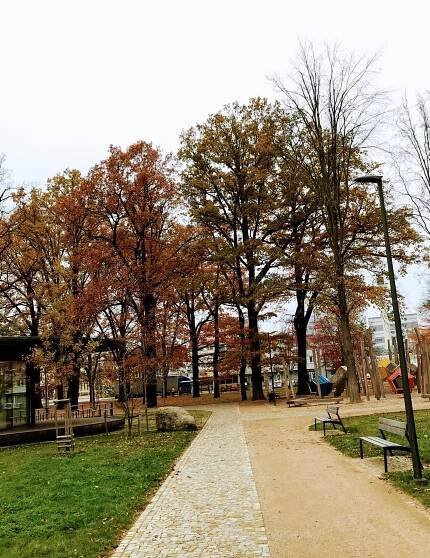 Stromovka_Humpolec_3.jpg