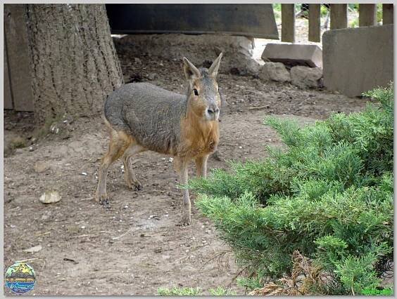Zoopark Olovnice