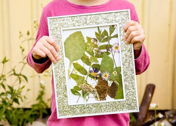 Koláž z lisovaných rostlin (Zdroj: Shutterstock)
