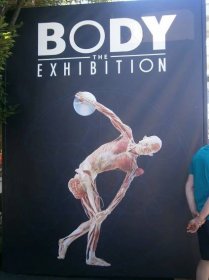 Výstava Body The Exhibition