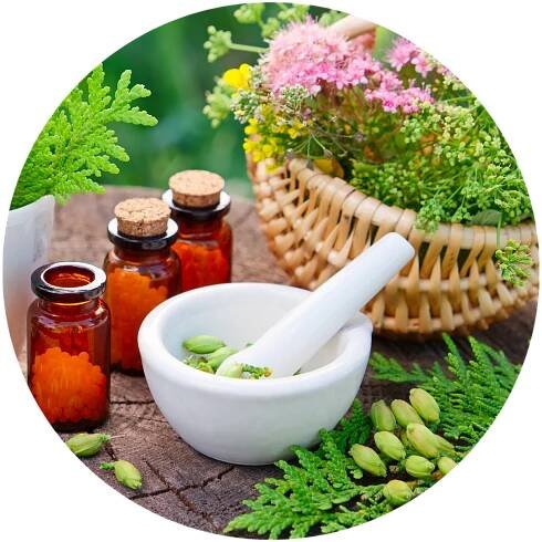 homeopatie-vitkova-poradenstvi (39)