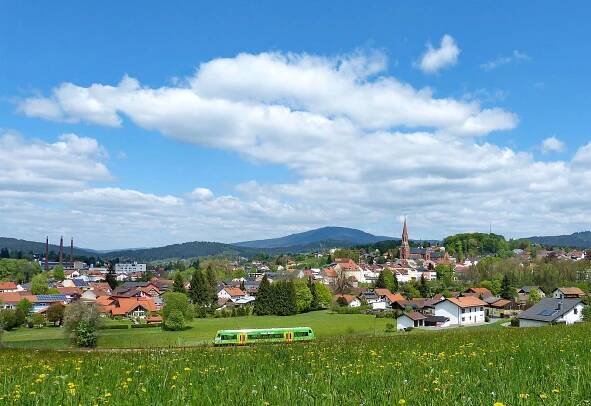 Flusswanderweg am Regen