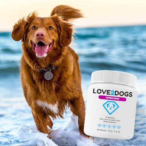 Probiotics - Love2Dogs