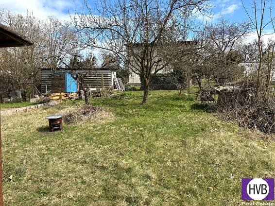 photo_2