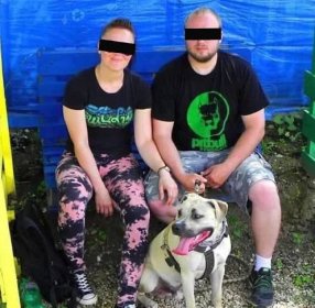 Zuzanu unesl Stanislav, proti kterému svědčil její manžel. Při její záchraně pomohli policejní psi