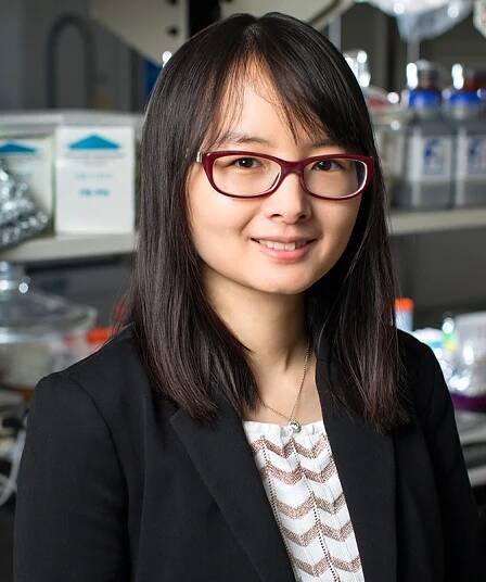 Five Illinois professors recognized as University Scholars – News Bureau