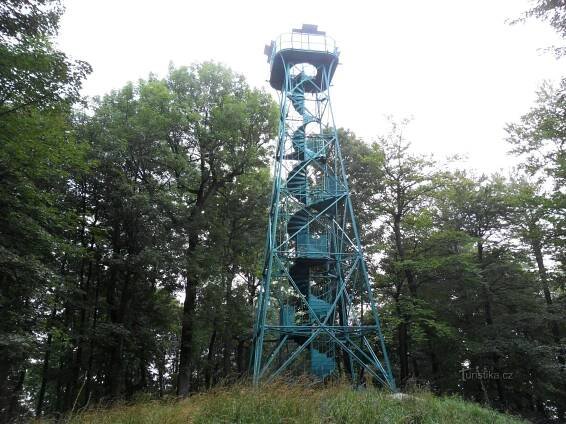 Znovuzrozená krasavice
