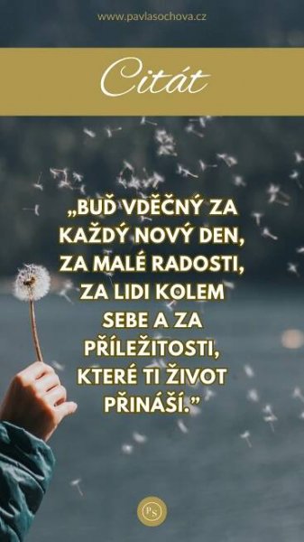 Motivační citát o vděčnosti