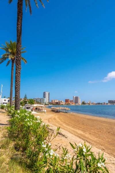 palmy kymácející se na pláži la manga, mar menor, murcia, španělsko - la manga - stock snímky, obrázky a fotky