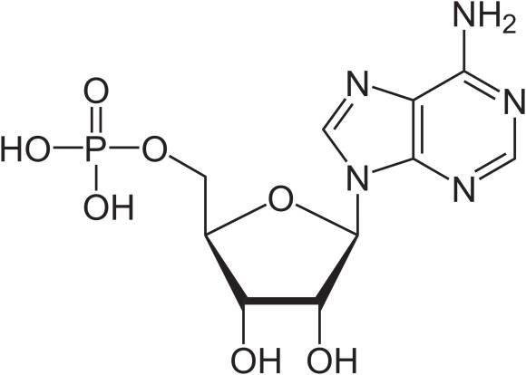 Soubor:Adenosinmonophosphat protoniert.svg – Wikipedie