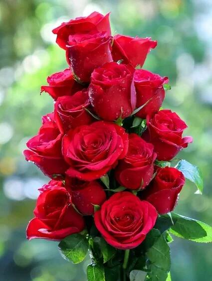 Pin de Susan (Sue) en #HomeDecor en 2025 | Rosas de ganchillo, Rosas, Flores