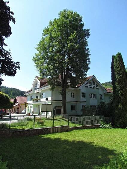 Obecní úřad Valašská Bystřice foto 3
