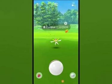 1 Premier ball na hundo / Pokémon GO CZSK