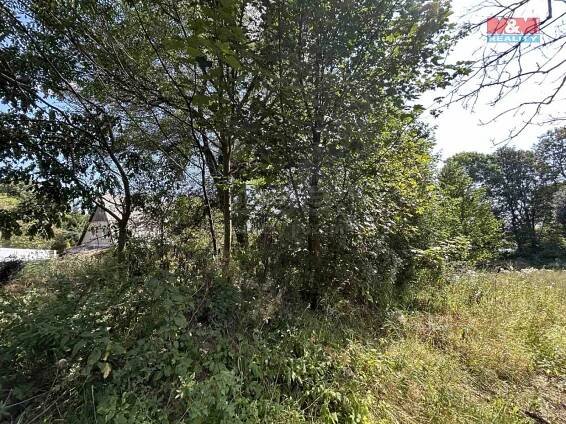 Prodej Pozemek, Blatno - Bečov, okres Chomutov