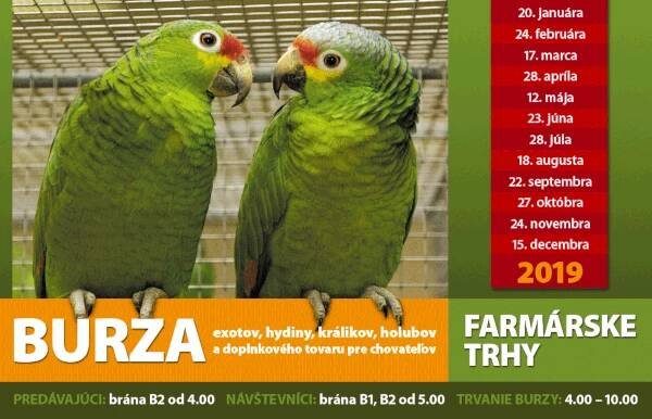 Přehled ptačích burz a výstav pro víkend 25. až 27. října 2019 – Ararauna.cz