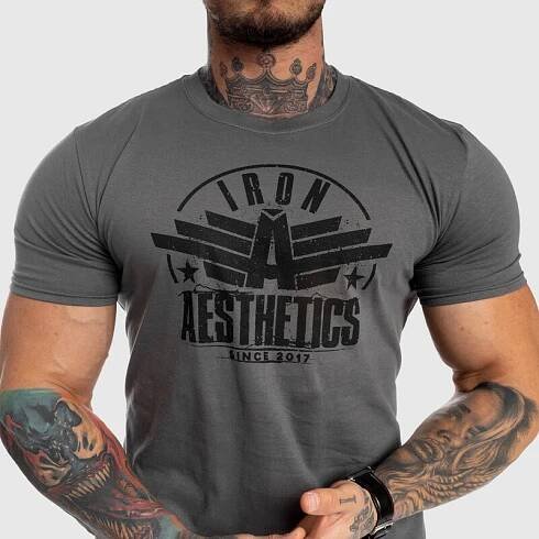 Pánské fitness tričko Iron Aesthetics Force, šedé