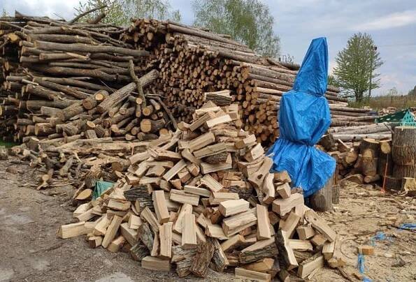 palivové dřevo